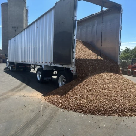 truck with grain in back